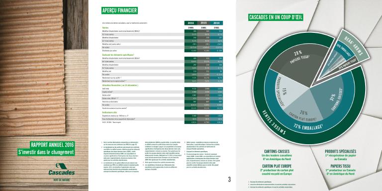 rapport annuel Cascades